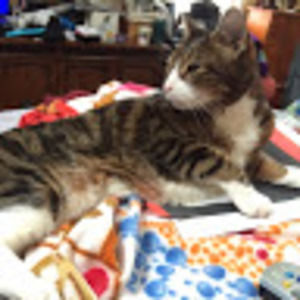 Meet your Posher, Shayna